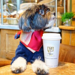 Le Pain Quotidien