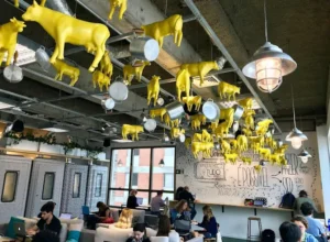 Google for Startups Campus