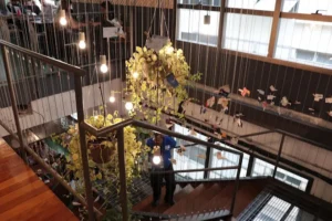 Google for Startups Campus