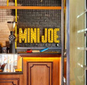 Mini Joe