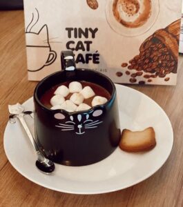 Tiny Cat Café