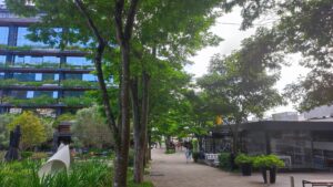 Café Cultura - Passeio Primavera