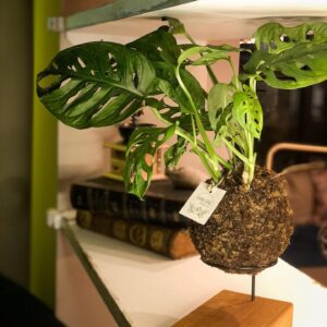 Madeira e Cobre Café & Coworking