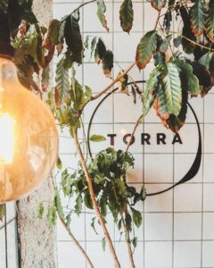 Torra Café