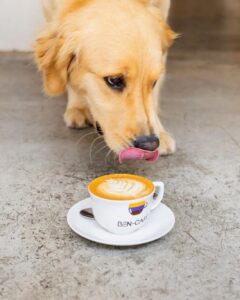 Ben Café