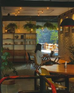 Vértice Cafés Especiais