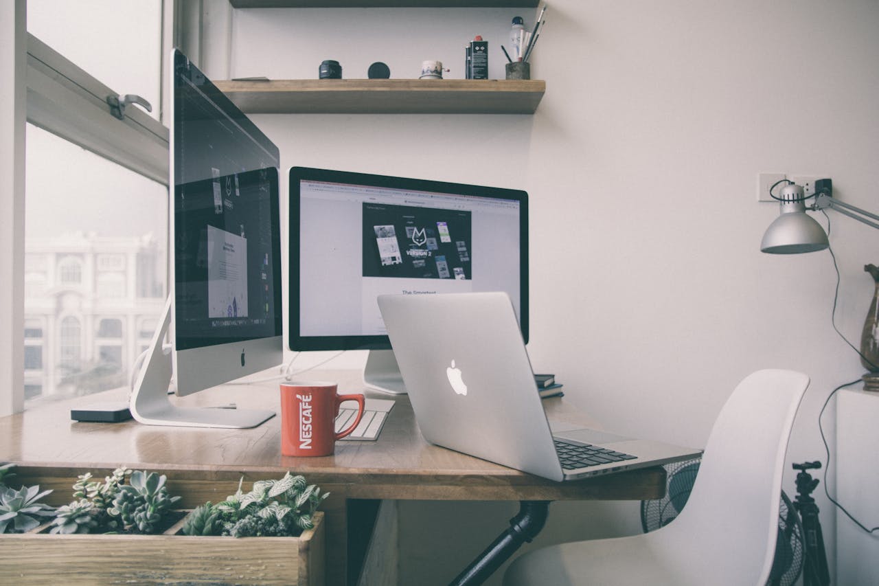 7 Plantas que Melhoram o Ambiente de Trabalho em Casa