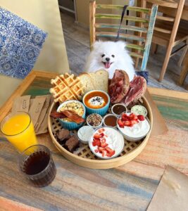 Cozy Coffee House & Bistro