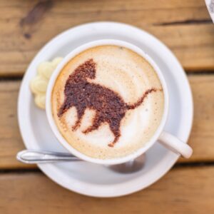 Gato Café Via Parque