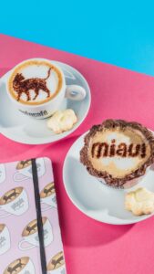 Gato Café Via Parque