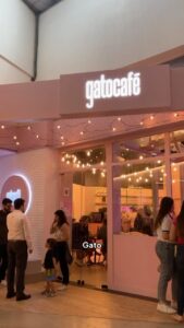 Gato Café Via Parque