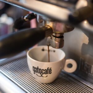 Gato Café