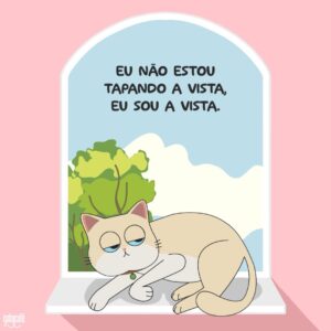 Gato Café Via Parque