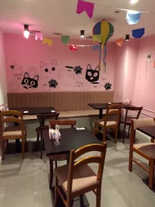 Gato Café Via Parque