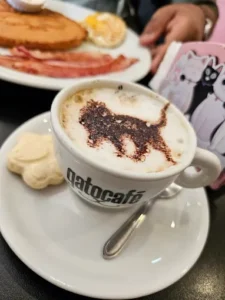 Gato Café