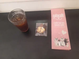 Gato Café