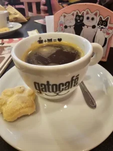 Gato Café Botafogo