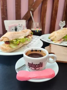 Gato Café