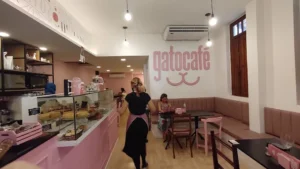 Gato Café