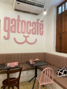 Gato Café