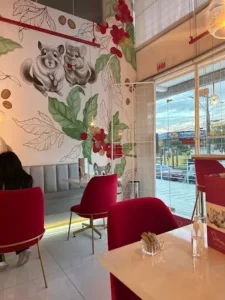 Chinchila Café