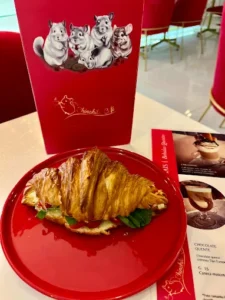 Chinchila Café