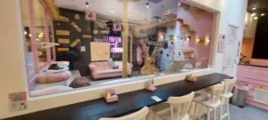 Gato Café Via Parque